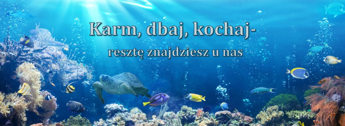 Sklep akwarystyczny
